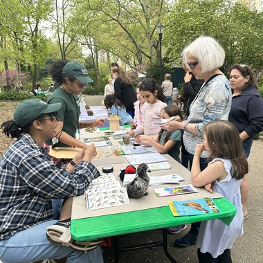 Volunteers help NYC Bird Alliance staff table and share with visitors about birds/conservation at an Earth Day event at Carl Schurz Park. Photo: NYC Bird Alliance