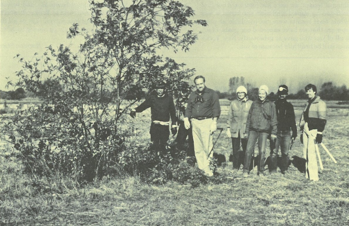 Grassland restoration at Floyd Bennett Field, 1986. Individuals present included Gateway National Recreation Area Superintendent Robert MacIntosh, Floyd Bennett Field Unit Supervisor David Avrin, longtime NYC Bird Alliance supporters Jean and Ron Bourque, and other volunteers. Photo: Robert MacIntosh