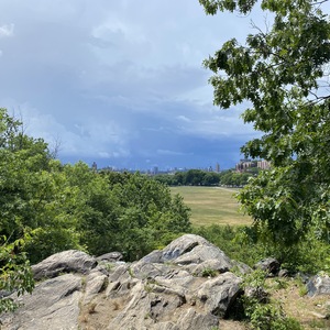 The varied terrain of Van Cortlandt Park provides habitat for woodland, wetland, and grassland birds. <a href="https://www.flickr.com/photos/turducken/50069668106/" target="_blank">Photo</a>: TheTurducken/<a href="https://creativecommons.org/licenses/by/2.0/" target="_blank" >CC BY 2.0</a>