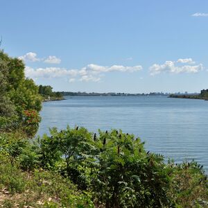 The Bronx River empties into the East River by Sound View Park, visited by egrets and night-herons, as well as fish-hunting Osprey. Photo: <a href="https://www.flickr.com/photos/edcnyc/" target="_blank">Eddie Crimmins</a>