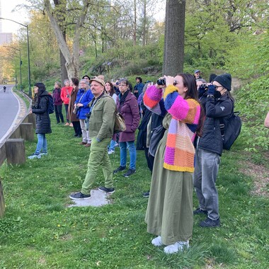 Earth Day bird outing in Central Park.